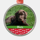 Suche nach hundeknochen ornamente Dogs