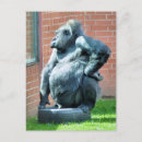 Suche nach primat postkarten Gorilla