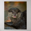 Suche nach außergewöhnliche poster Otter