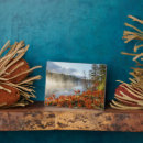 Suche nach farne fotoplatten Baum