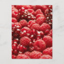 Suche nach nährstoff postkarten Ernährungswissenschaftler