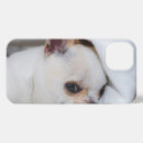 Suche nach für die chihuahua iphone hüllen Foto