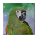 Suche nach grüner papagei fliesen Vogelvogel