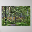 Suche nach nature scene poster Wald