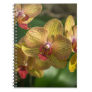 Suche nach orchidee kleine notizbücher Mit blumen