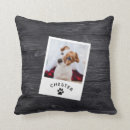 Suche nach katzen foto kissen Für haustiere