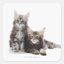 Suche nach zwei katzen aufkleber Katzenliebhaber