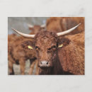 Suche nach verkaufen sie postkarten Foto