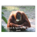 Suche nach affe kalender Tiere