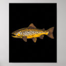 Suche nach angelrute poster Fliegenfischen