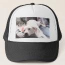 Suche nach schwarzer labrador kappen Vatertag