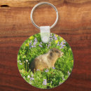 Suche nach marmot schlüsselanhänger Tierwelt