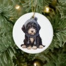 Suche nach portugiesischer wasserhund ornament ornamente Weihnachten