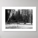 Suche nach herde poster Wildnis