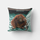 Suche nach orang utan kissen Primat