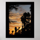 Suche nach palm trees poster Fotografie