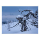 Suche nach lappland poster Natur