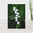 Suche nach tael karten Blume
