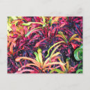 Suche nach efeu karten Liebe