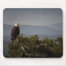 Suche nach patriotismus mousepads Tierwelt