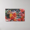 Suche nach beeren leinwandbilder Natur