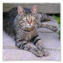 Suche nach kurzes haar poster Kurze haare