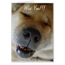 Suche nach lustige hunde Niedliche tiere