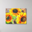 Suche nach sonnenblume leinwandbilder Fröhlich