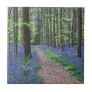 Suche nach bluebells fliesen Blüte