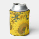 Suche nach sonnenblumen dosenkühler Fotografie