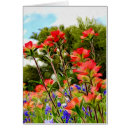 Suche nach malerpinsel postkarten Bluebonnets