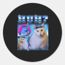 Suche nach lustige katzen aufkleber Meme