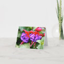 Suche nach fuschia karten Fotografie