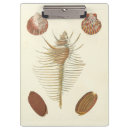 Suche nach muschel klemmbrett Strand