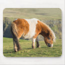 Suche nach domestiziert mousepads Küste