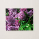 Suche nach flieder puzzle Blumen