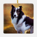 Suche nach border collie schmuck Weihnachten