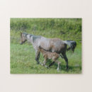 Suche nach fohlen puzzle Stute