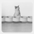 Suche nach tierköpfe aufkleber Haustiere