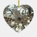 Suche nach kirschblüte baum ornamente Blume