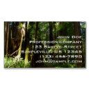 Suche nach farne visitenkarten Fotografie