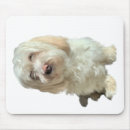 Suche nach havaneser mousepads Havanisch