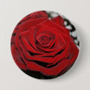 Suche nach rote rosen buttons Natur