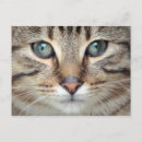 Suche nach süßes gesicht postkarten Augen