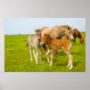 Suche nach ingwer poster Braun