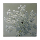 Suche nach fein fliesen Blume