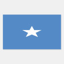 Suche nach sumpf aufkleber Florida