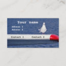 Suche nach blauer vogel visitenkarten Wild