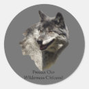 Suche nach tiere schützen aufkleber Hunde