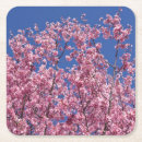 Suche nach kirschbaum untersetzer Kirschblüten